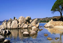 KY Game Card-哈瓦尔队主场不敌对手，状态不佳